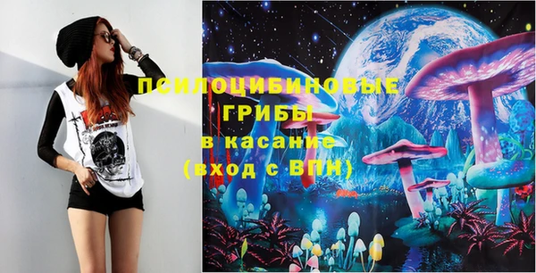гидропоника Алзамай