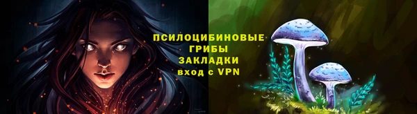 гидропоника Алзамай